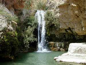 En Gedi Nahal David waterfall