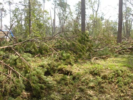 Devistation in Bogalusa