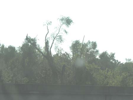 New Orleans0014