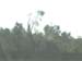 New Orleans0014