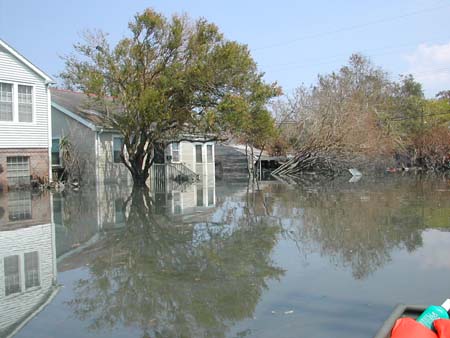 DSCN1453