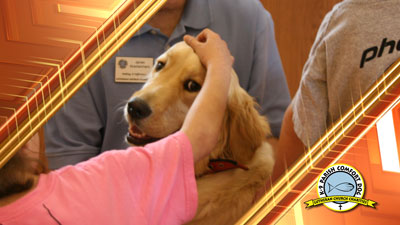 K-9 Video
